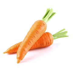 Carrot